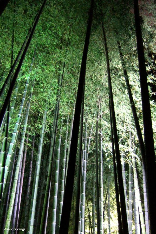 Kyoto Home Kiyomizu エクステリア 写真